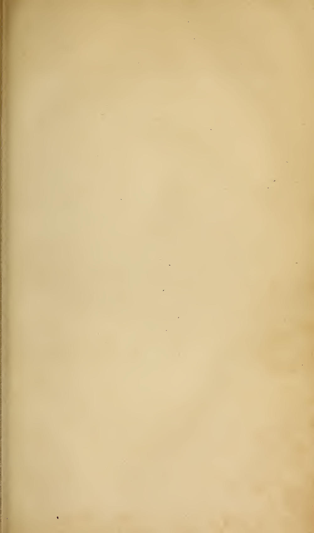 Image of page 291